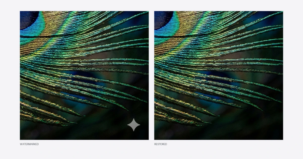 Does Removing a Gemini Watermark Lose Quality?